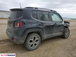 Jeep Renegade 2019 1