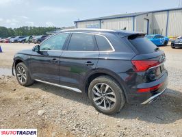Audi Q5 2024 2