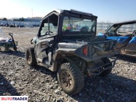 Polaris Pozostałe 2019