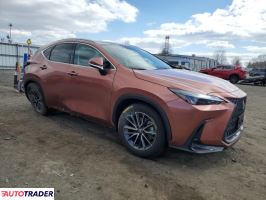 Lexus NX 2025 2 Lexus NX 2025 2