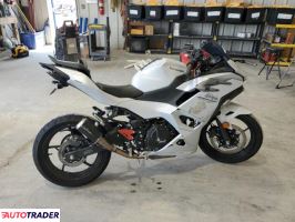 Kawasaki Pozostałe 2024 Kawasaki Pozostałe 2024