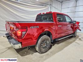 Ford Pozostałe 2024 3