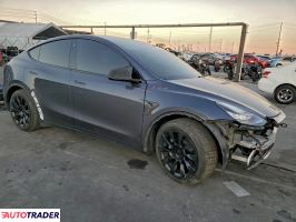 Tesla Model Y 2020