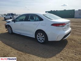 Toyota Corolla 2020 1