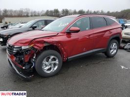 Hyundai Tucson 2024 2