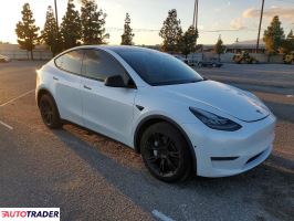 Tesla Model Y 2020